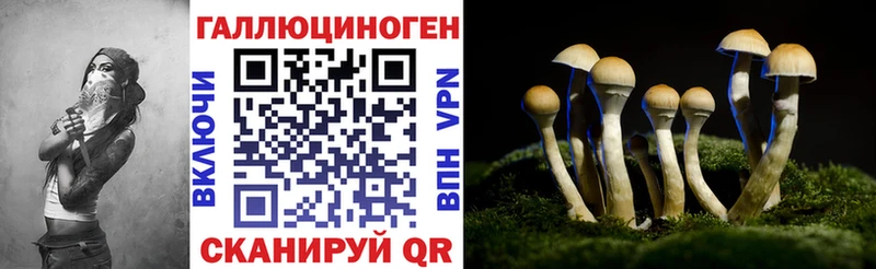 мега зеркало  сколько стоит  Красноперекопск  Псилоцибиновые грибы Psilocybe 